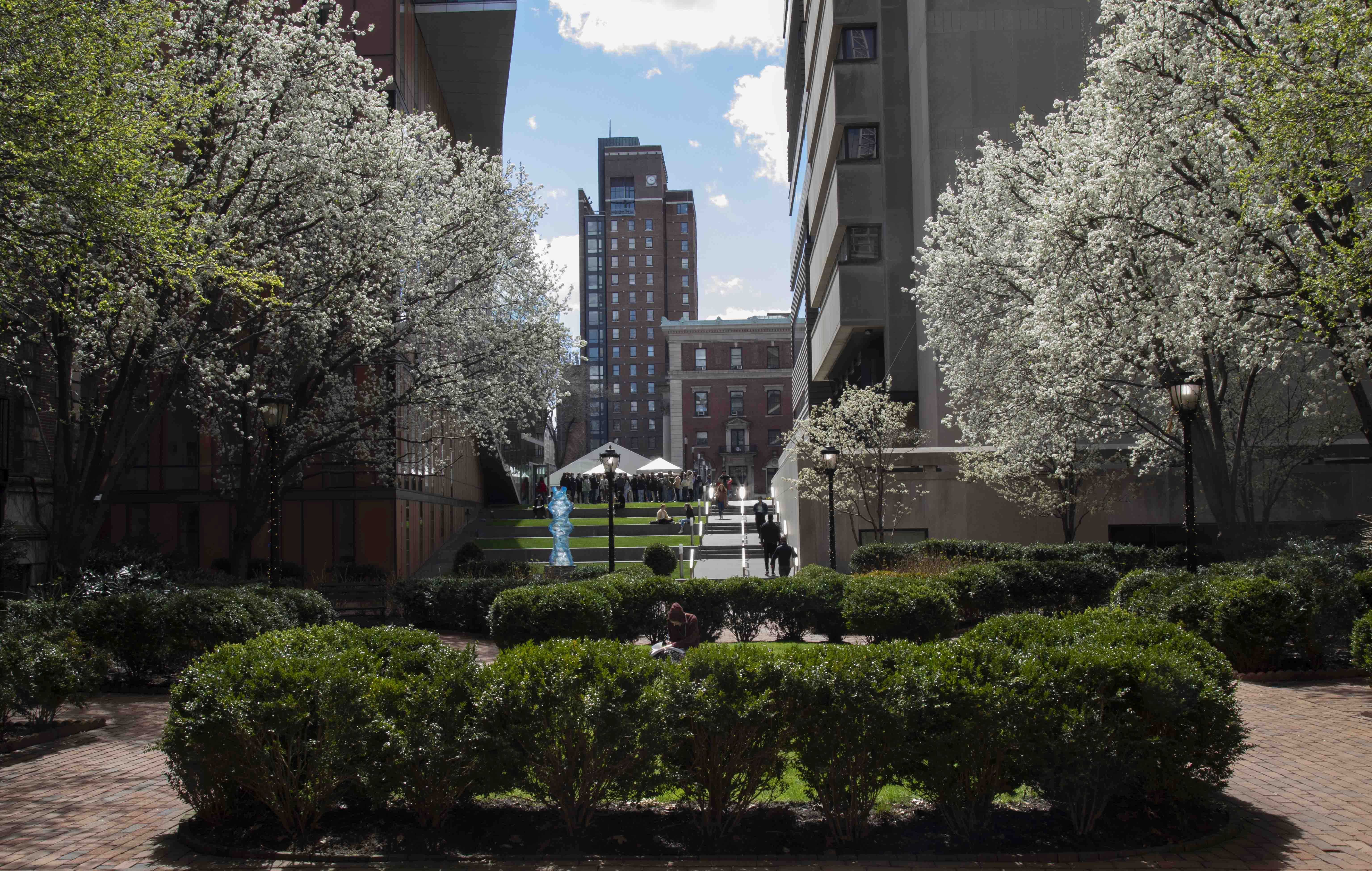 Art Barnard Barnard Art History